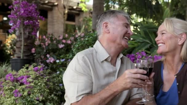 Pareja Madura Disfrutando Del Vino Tinto Cafetería — Vídeo de stock