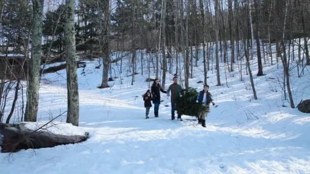 Famiglia Che Trasporta Albero Natale Attraverso Foresta — Video Stock