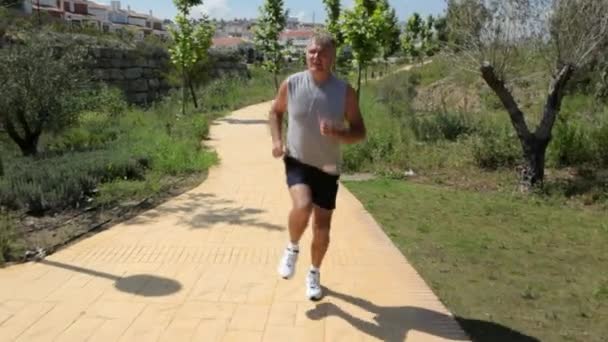 Frontansicht Eines Seniors Beim Joggen Auf Pfad — Stockvideo