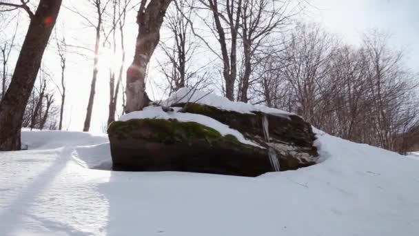 Muž Skateboardista Skákání Přes Skálu — Stock video