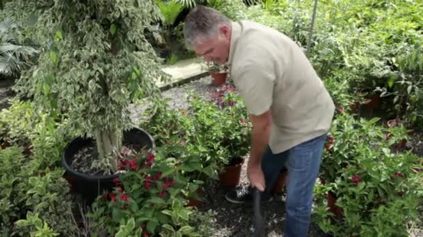 Senior Man Graven Met Schop Tuin — Stockvideo