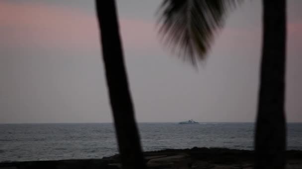 Silhouetten Van Palmbomen Veerboot Aan Oceaan Afstand Kauai Hawaï — Stockvideo