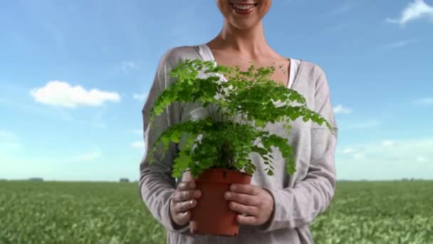 Женщина Поле Держит Растение Горшке — стоковое видео
