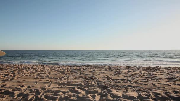 Дівчина Біжить Пляжі Дошкою Серфінгу — стокове відео
