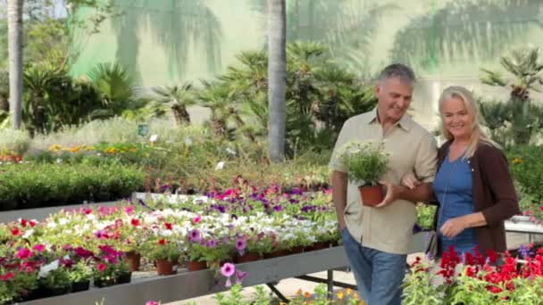 Ouder Paar Wandelen Door Tuincentrum — Stockvideo