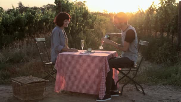 年轻夫妇在野外餐桌上有酒和接吻 — 图库视频影像