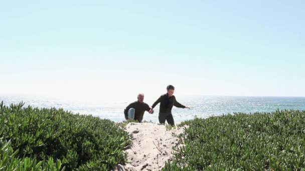 在沙丘上手牵手走路的情侣 — 图库视频影像