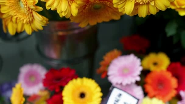 Gerbera Blommor Flower Stå Utomhus — Stockvideo