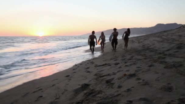 Surfistas Caminando Playa Atardecer — Vídeo de stock