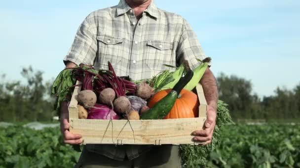 Farmář Hospodářství Bednu Čerstvé Zeleniny — Stock video