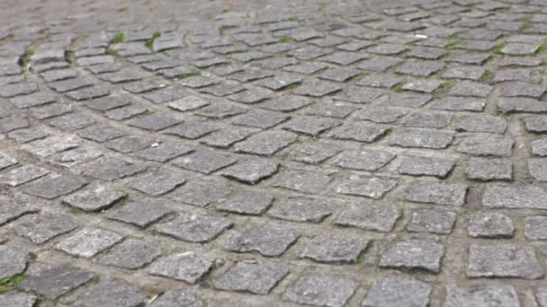Person Walking Cobbled Street Low Section — Stock Video