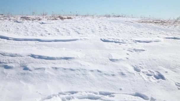 Neigung Über Schnee Richtung Helles Sonnenlicht — Stockvideo