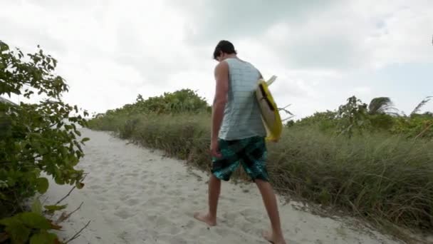 在海滩上散步的风筝冲浪者 — 图库视频影像