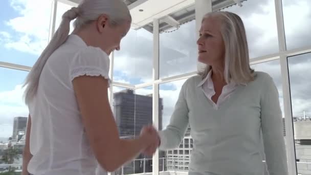 Две Деловые Женщины Встречаются Офисе Пожимают Руки — стоковое видео