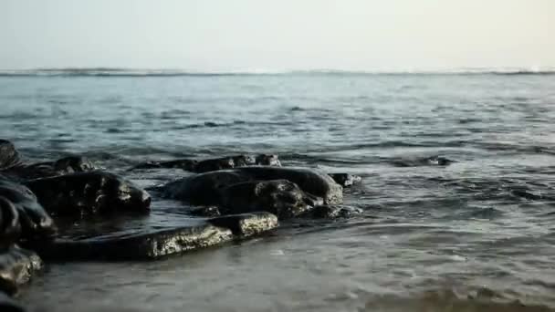 Stenar Och Vågor Kauai Beach Hawaii — Stockvideo