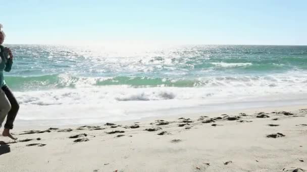 Dospělý Pár Zabalená Dece Chůzi Pláži — Stock video