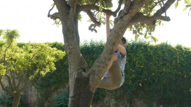 Boy Climbing Tree Garden Tilt — Stock Video