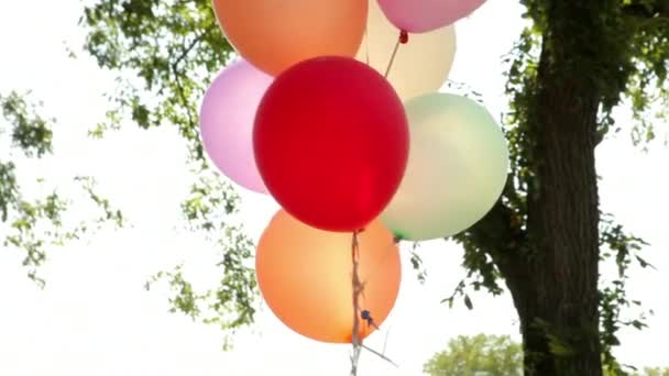 Helder Gekleurde Verjaardagsballonnen — Stockvideo