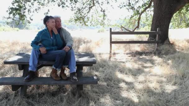 Pareja Sentada Mesa Picnic Alejándose — Vídeo de stock