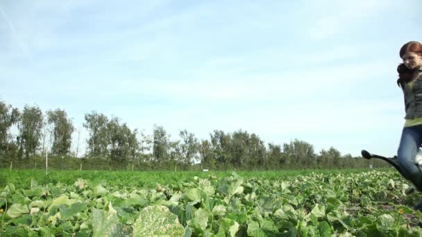 Jeune Femme Arrosant Des Cultures Dans Champ Avec Arrosoir — Video