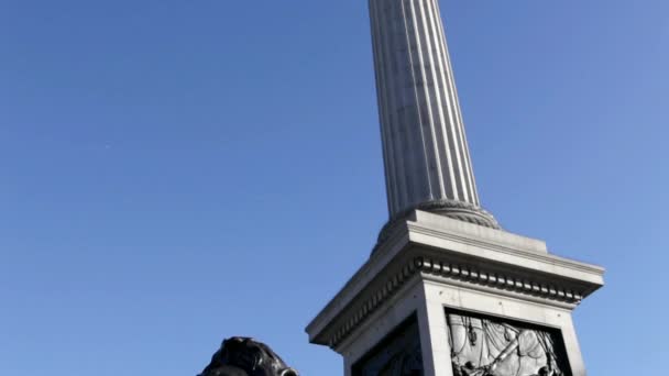 Statua Del Leone Colonna Nelson Londra — Video Stock