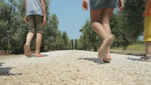 Fünf Kinder Laufen Landstraße Entlang — Stockvideo