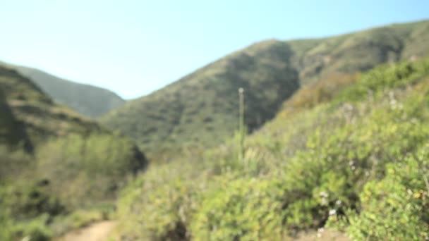 丘陵地帯を走る女性たちは — ストック動画