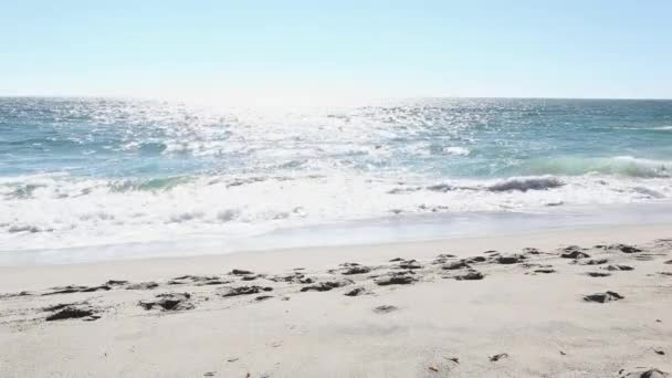 成熟夫妇裹着毯子 漫步在沙滩上 — 图库视频影像