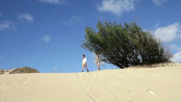 Deux Femmes Marchant Sur Des Dunes Sable — Video