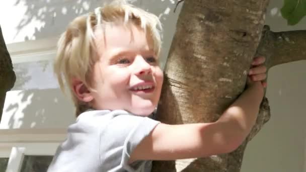 家の近くの木に登る少年 — ストック動画