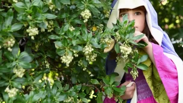 Fille Habillée Cape Cachant Dans Les Buissons — Video