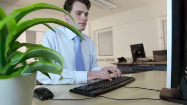 Young Office Worker Using Computer — Stock Video