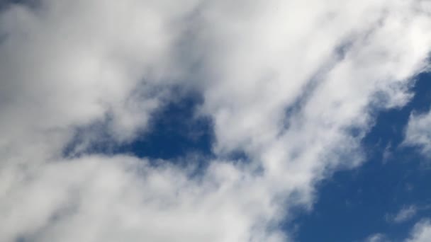 Pájaros Volando Frente Las Nubes — Vídeos de Stock