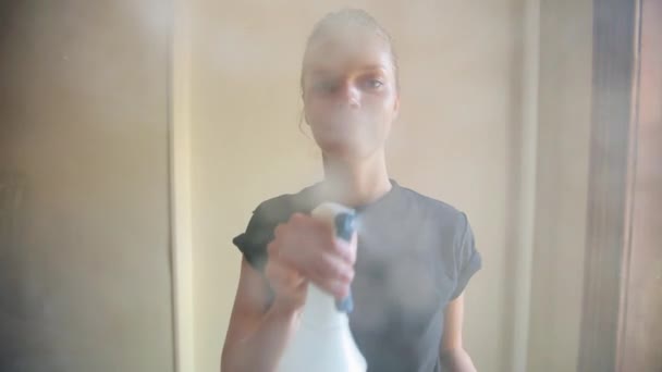 ガラスの清掃の女性の視点 — ストック動画