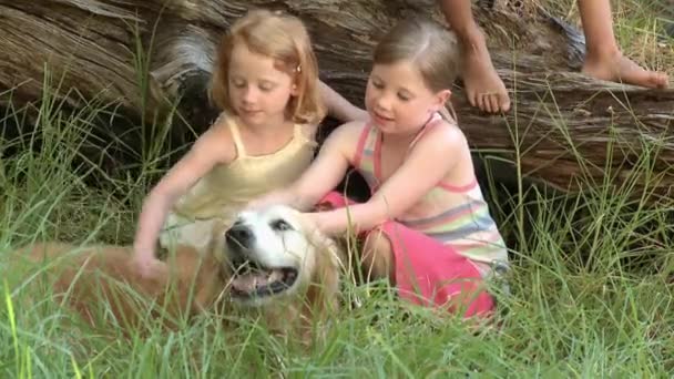 Mädchen Streicheln Hund Neigen Sich Junge Der Auf Baumstamm Sitzt — Stockvideo