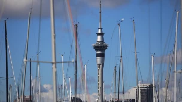 Zooma Från Sky Tower Att Visa Båtar Hamnen Auckland Nya — Stockvideo