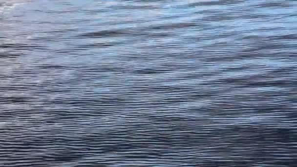 水面上的裂痕 — 图库视频影像