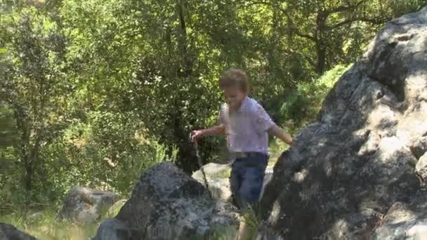 Niño Caminando Por Las Rocas Con Palo Parque — Vídeo de stock