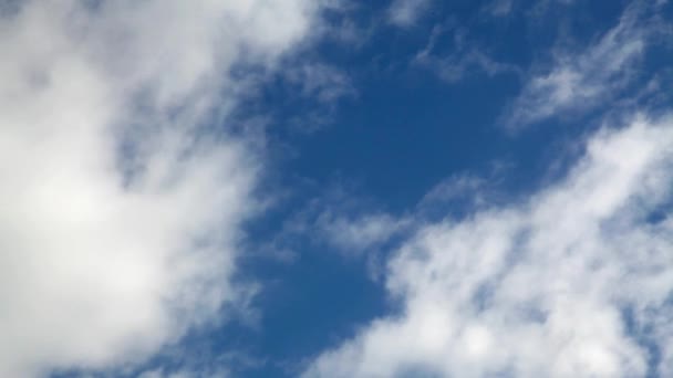 Uccelli Che Volano Davanti Alle Nuvole — Video Stock