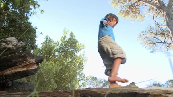 Niño Caminando Largo Tronco Ángulo Bajo — Vídeos de Stock