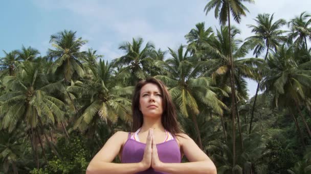 练习瑜伽的年轻女子的低视角 — 图库视频影像