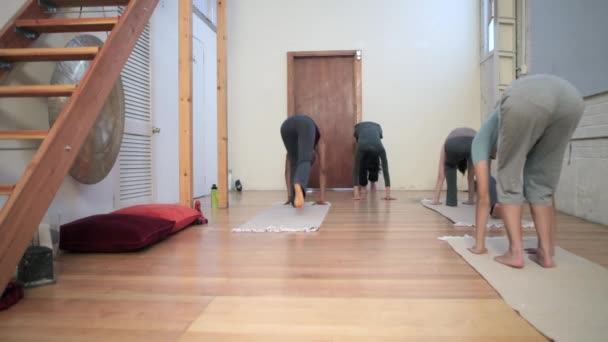 Mujeres Haciendo Clases Yoga Con Instructor — Vídeos de Stock