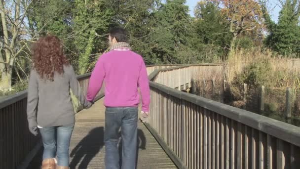 Rückansicht Von Paar Das Hand Hand Über Brücke Geht — Stockvideo