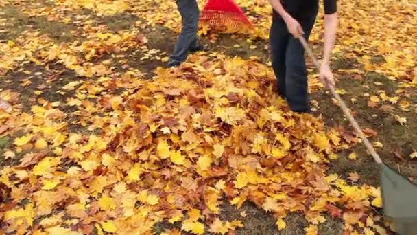 Zwei Jungen Harken Herbstblätter — Stockvideo