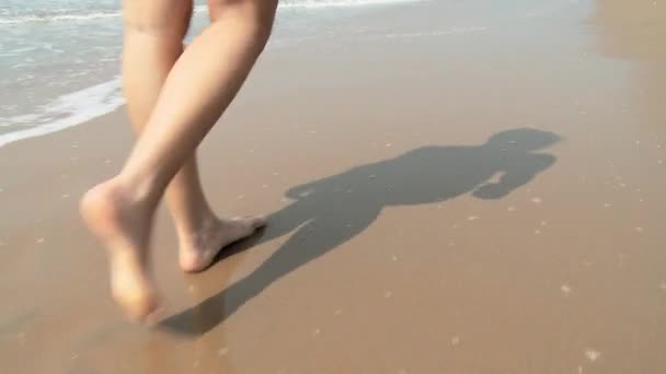 Piernas Mujer Caminando Orilla Del Mar — Vídeo de stock