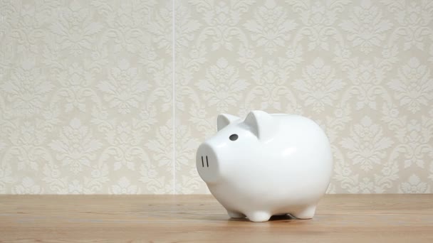 Close up of Man smashing piggy bank with hammer — Stock Footage Close Man Smashing Piggy Bank Hammer Stock Footage