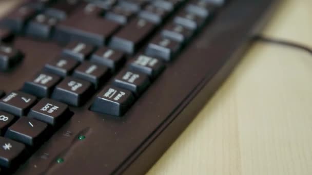 コンピューターのキーボードを使用してオフィス ワーカー — ストック動画