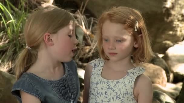 屋外で話している二人の女の子 — ストック動画