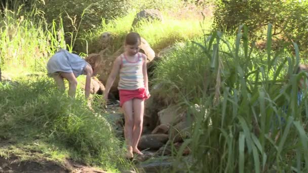 Niños Caminando Sobre Rocas Río — Vídeos de Stock