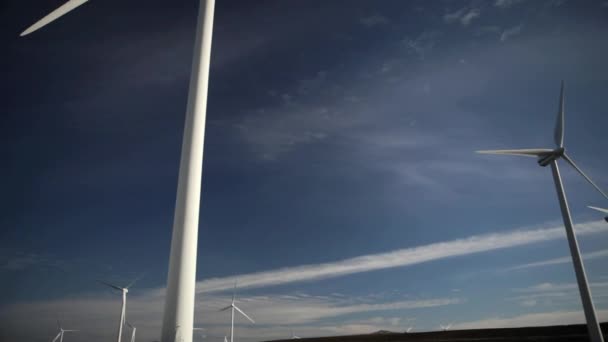 Windpark Overdag Tarifa Spanje — Stockvideo